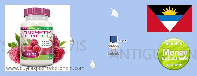 Dónde comprar Raspberry Ketone en linea Antigua And Barbuda